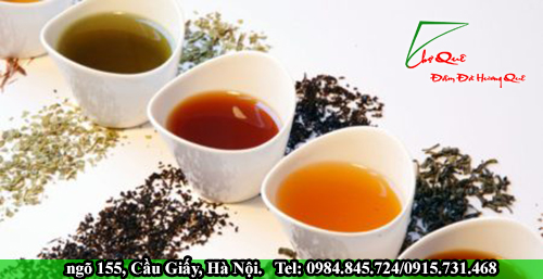 cao chè vằng Vũng Tàu